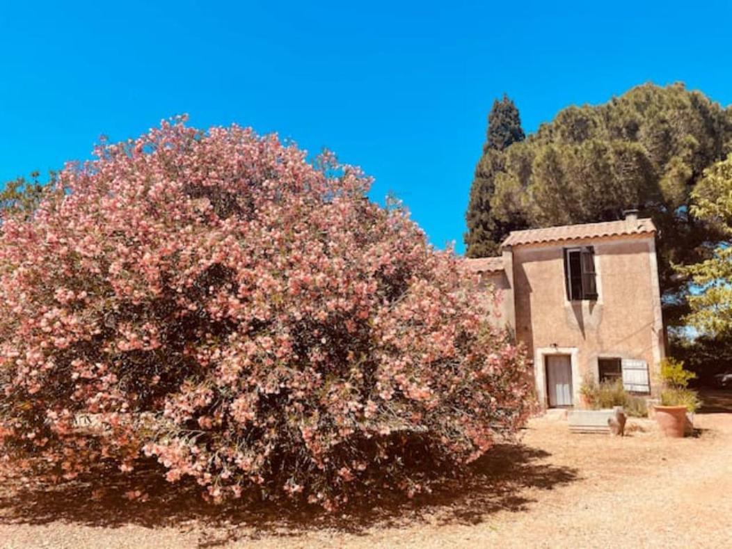 Casa Cote Sud - Mas Bois Fontaine Villa Nîmes Exterior photo